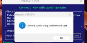 Bitcoin Sender Flash software