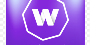 WorldRemit money transfer