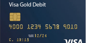 USA VISA [DEBIT] | $2500+ Balance